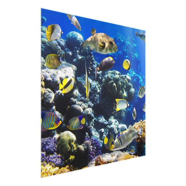 Cuadros con mar Underwater Reef