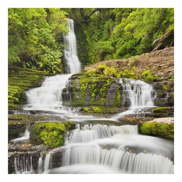 Cuadros paisajes naturaleza Upper Mclean Falls In New Zealand