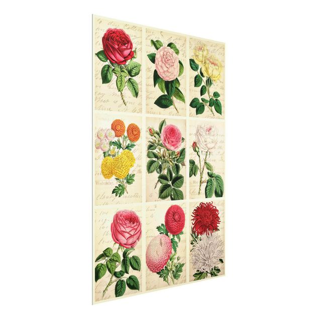Cuadros plantas Vintage Floral Collage