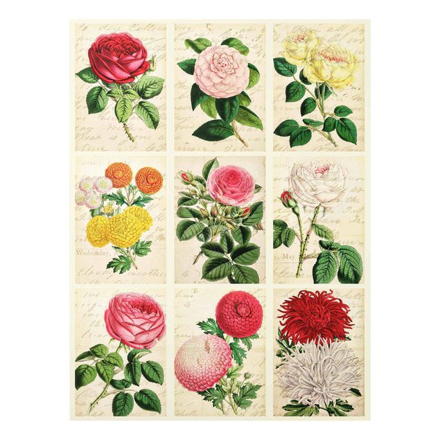 Cuadros de flores Vintage Floral Collage