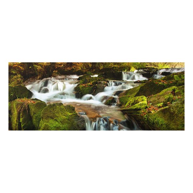 Cuadros de cristal paisajes Waterfall Autumnal Forest