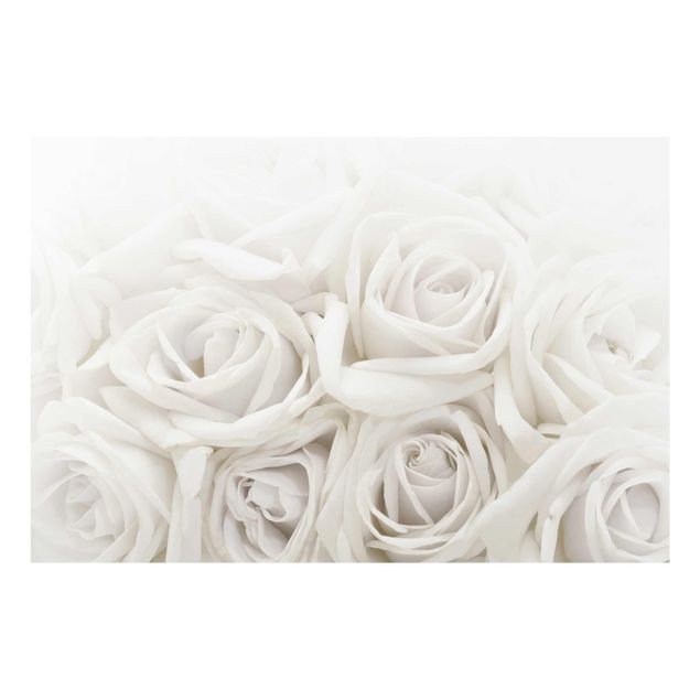 Cuadros flores Wedding Roses