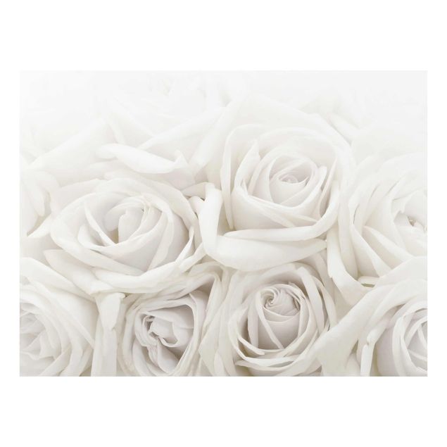 Cuadros flores Wedding Roses