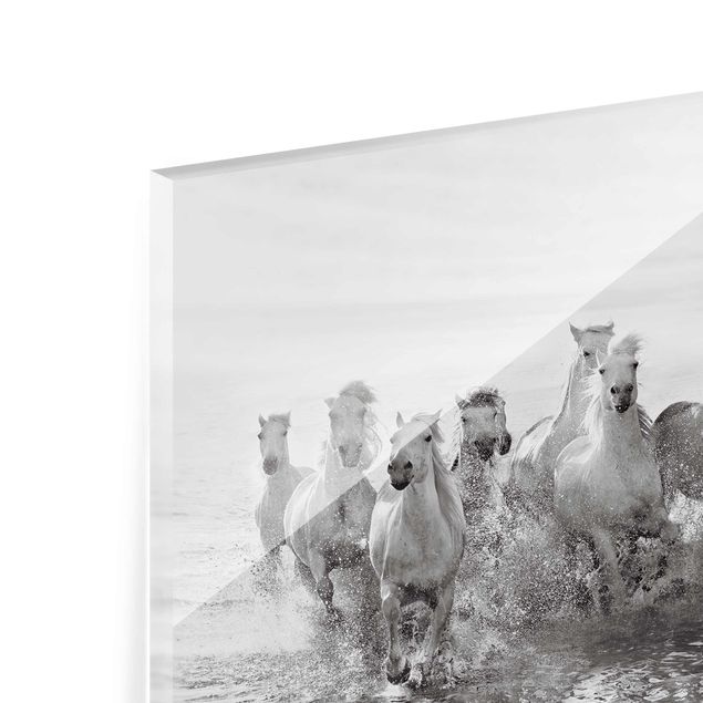 Cuadros de cristal paisajes White Horses In The Ocean