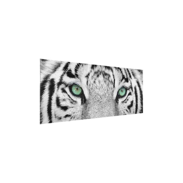 Cuadros de cristal animales White Tiger