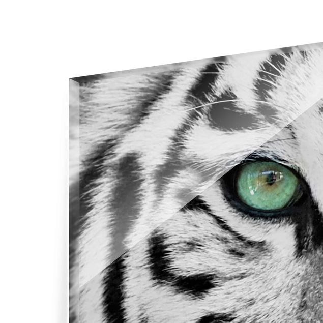 Tableros magnéticos de vidrio White Tiger