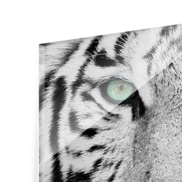 Tableros magnéticos de vidrio White Tiger