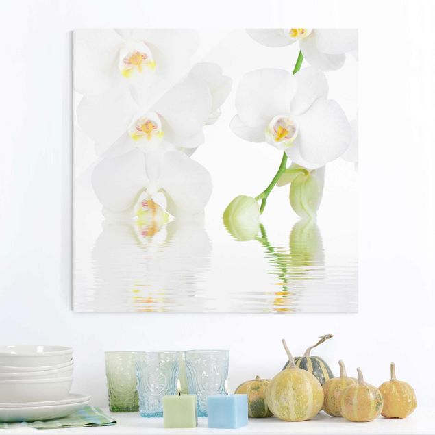 Cuadros de cristal orquídeas Spa Orchid - White Orchid