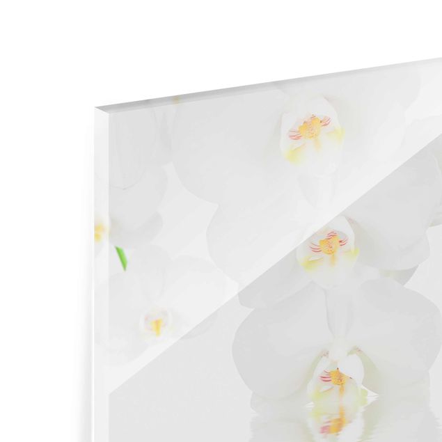 Tableros magnéticos de vidrio Spa Orchid - White Orchid