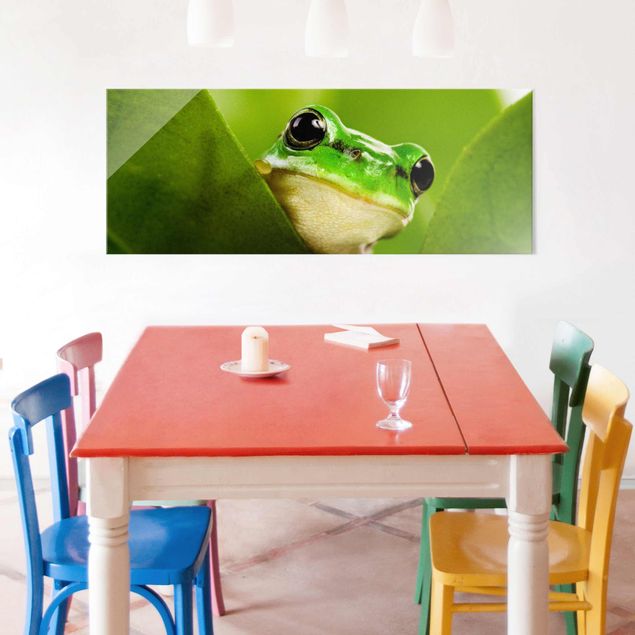 Cuadros modernos y elegantes Frog