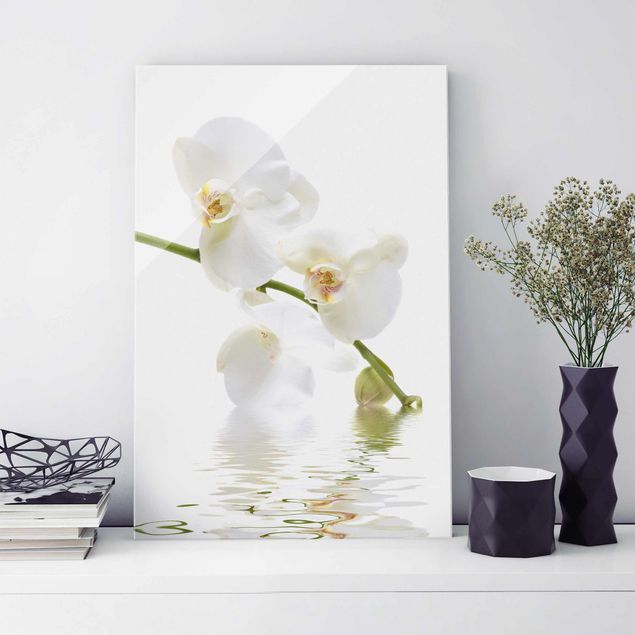 Cuadros de cristal orquídeas White Orchid Waters