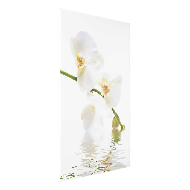 Cuadros de cristal flores White Orchid Waters