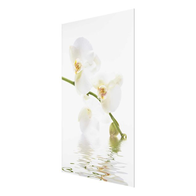 Cuadros de flores White Orchid Waters