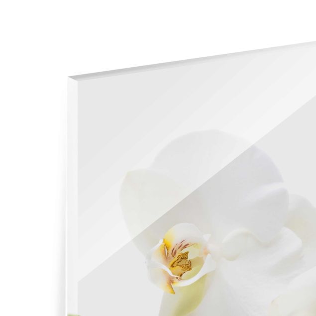 Tableros magnéticos de vidrio White Orchid Waters