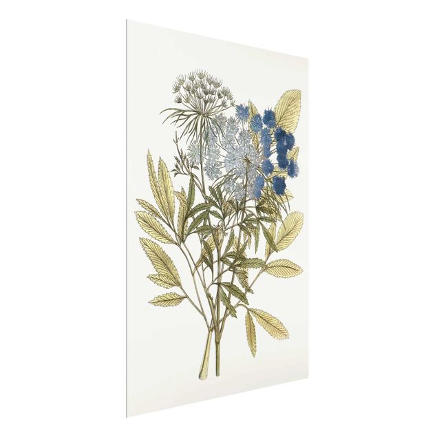Cuadros de flores modernos Wild Herbs Board I