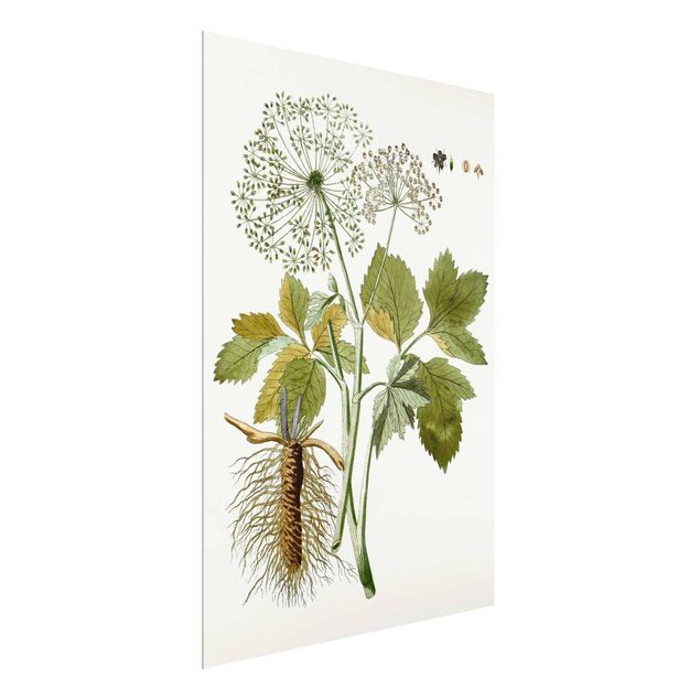 Cuadros de flores modernos Wild Herbs Board IV