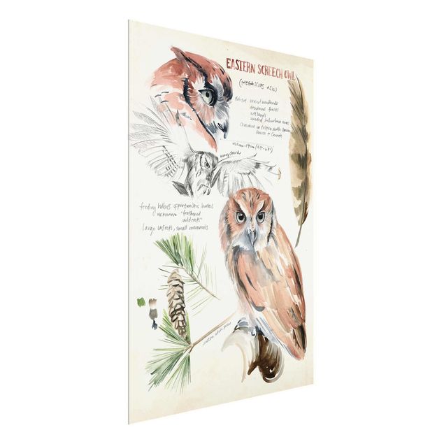 Cuadros flores Wilderness Journal - Owl