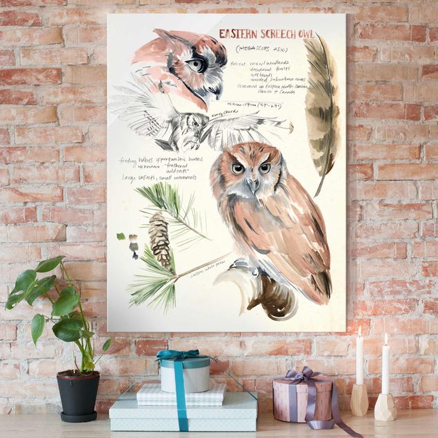 Decoración cocina Wilderness Journal - Owl