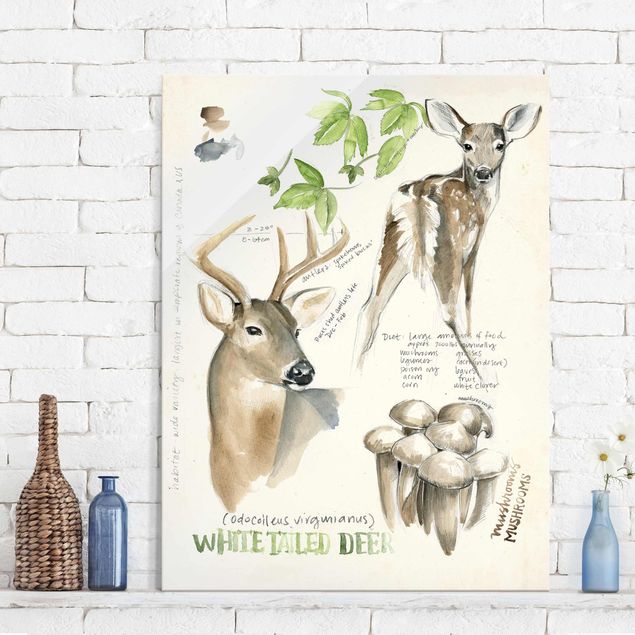 Cuadros de ciervos Wilderness Journal - Deer