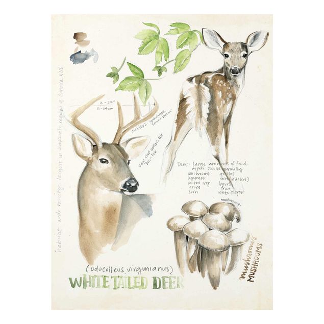 Cuadros de flores modernos Wilderness Journal - Deer