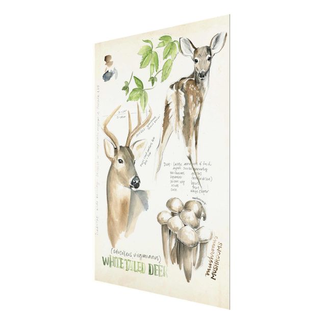 Cuadros marrón Wilderness Journal - Deer