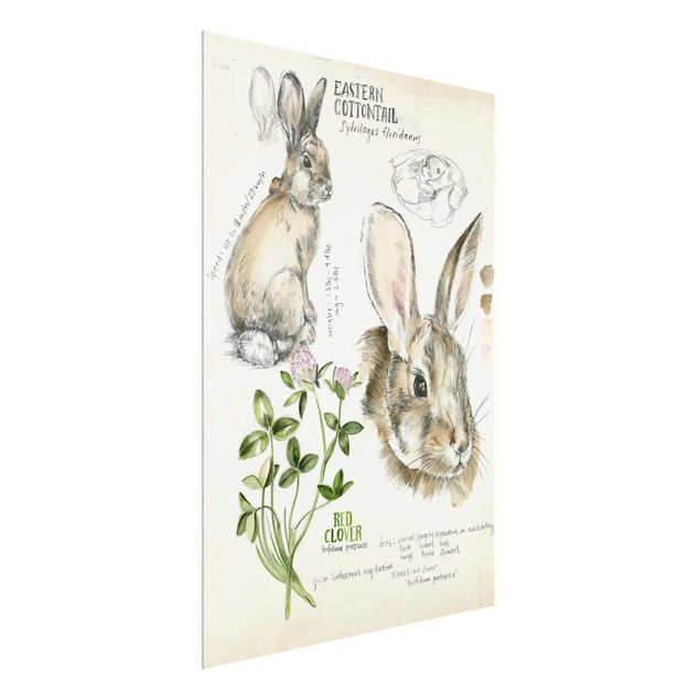 Cuadros flores Wilderness Journal - Rabbit