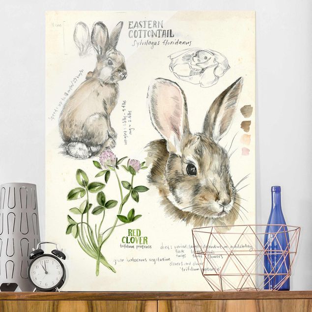 Decoración cocina Wilderness Journal - Rabbit