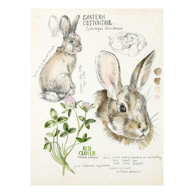 Cuadros en tonos beige y marrón Wilderness Journal - Rabbit