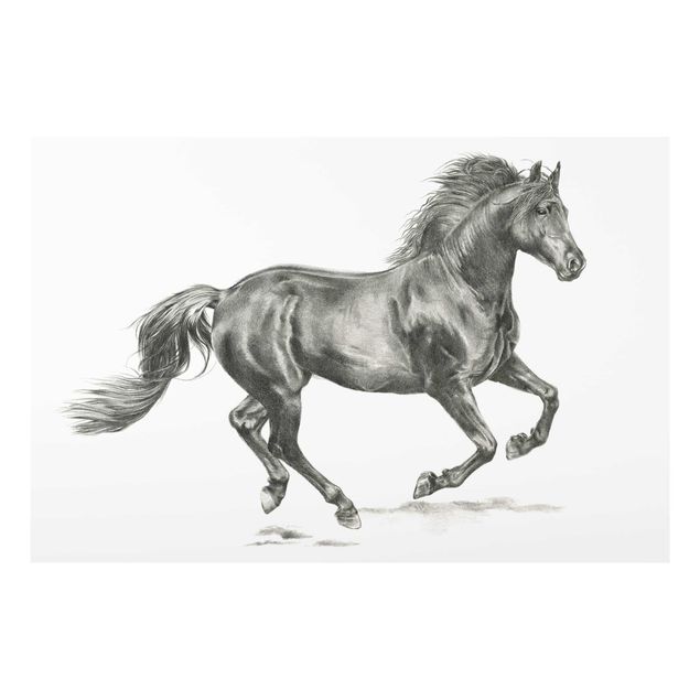 Cuadros decorativos modernos Wild Horse Trial - Stallion