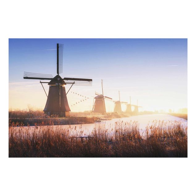 Cuadros Windmills Of Kinderdijk