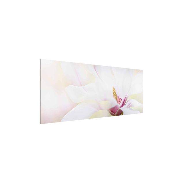 Cuadros de flores Delicate Magnolia Blossom