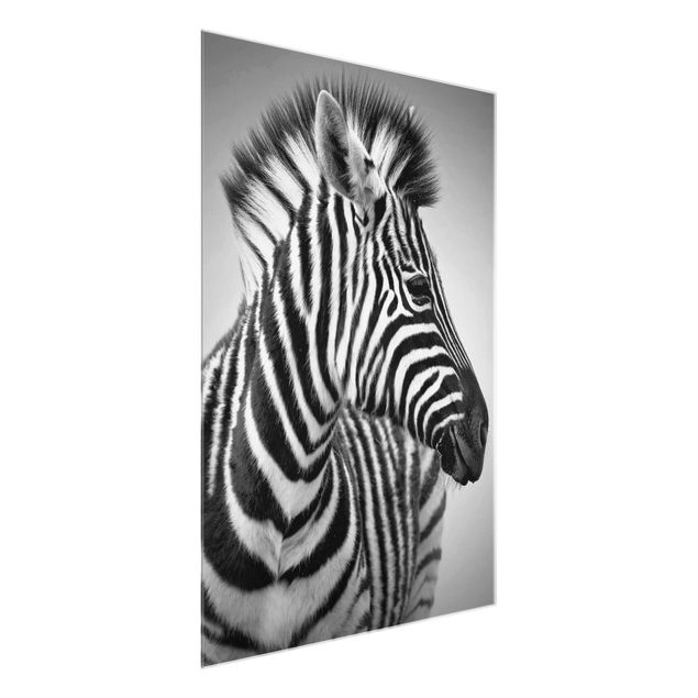 Cuadros de cristal animales Zebra Baby Portrait II