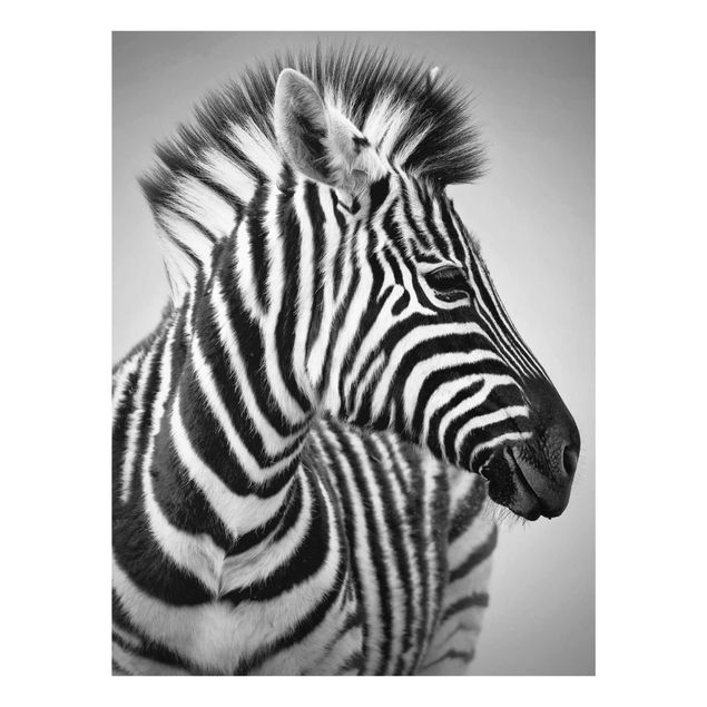 Cuadros de África Zebra Baby Portrait II