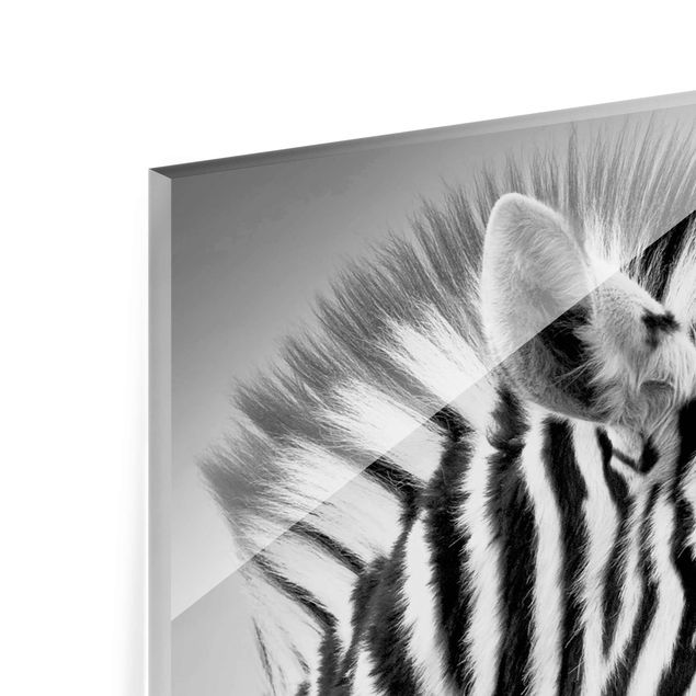 Cuadros Zebra Baby Portrait II