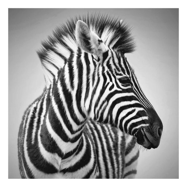 Cuadros africanos modernos Zebra Baby Portrait II