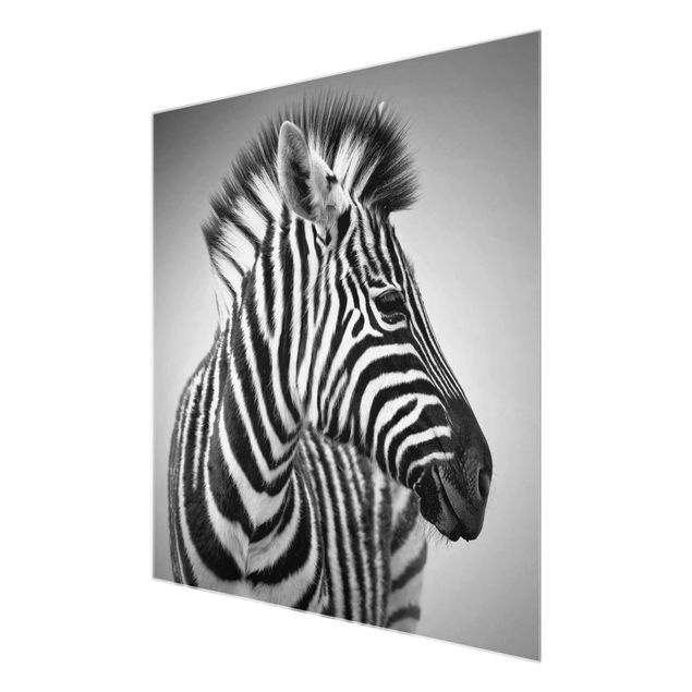 Cuadros modernos blanco y negro Zebra Baby Portrait II