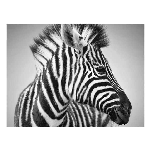 Cuadros africanos modernos Zebra Baby Portrait II