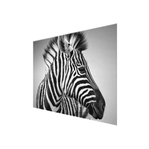 Cuadros modernos blanco y negro Zebra Baby Portrait II
