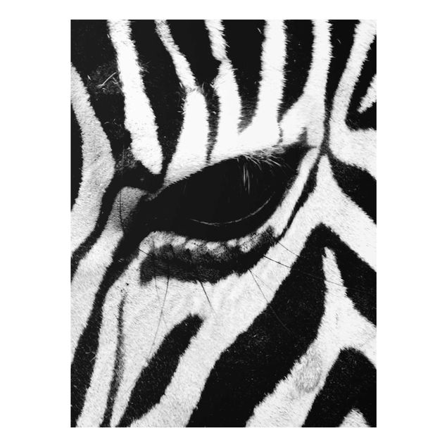 Cuadros de África Zebra Crossing