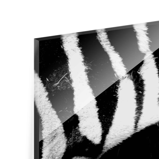 Tableros magnéticos de vidrio Zebra Crossing