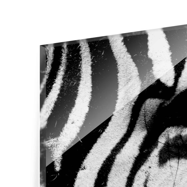 Tableros magnéticos de vidrio Zebra Crossing