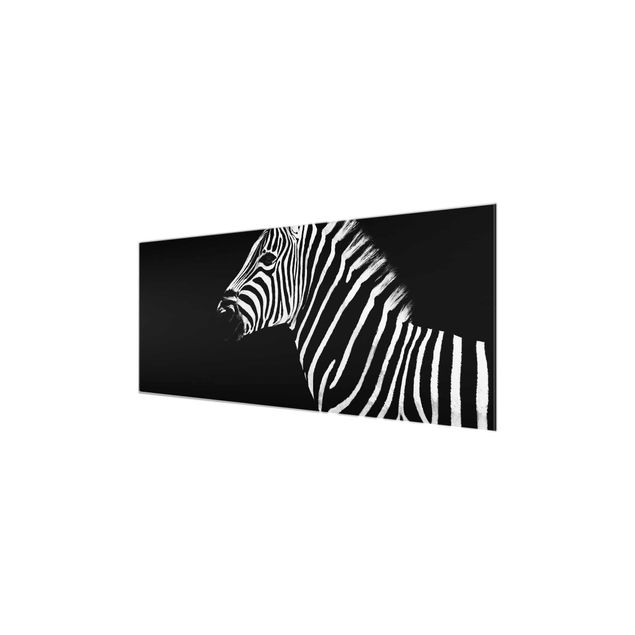 Cuadros modernos blanco y negro Zebra Safari Art