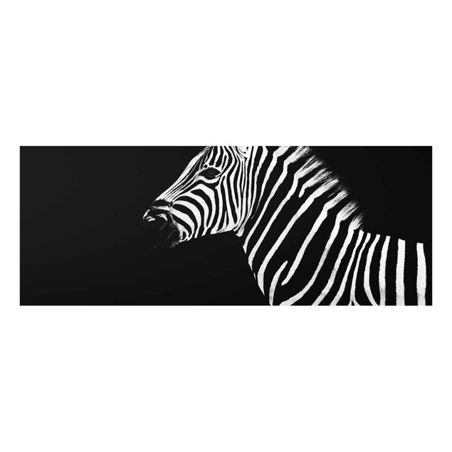 Cuadros modernos y elegantes Zebra Safari Art