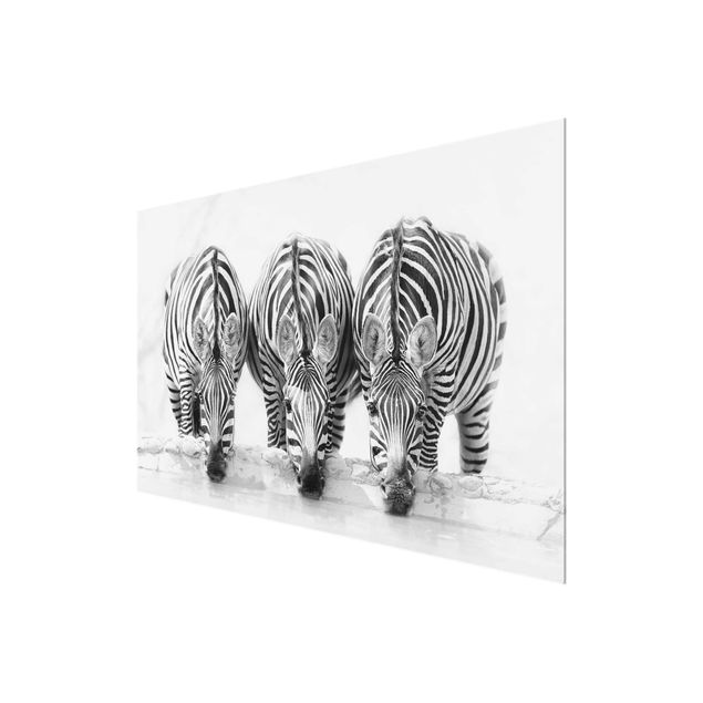 Cuadros a blanco y negro Zebra Trio In Black And White