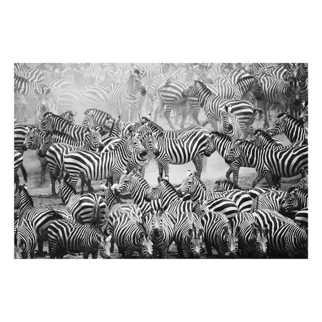 Cuadros africanos modernos Zebra herd II