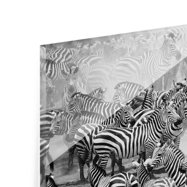 Tableros magnéticos de vidrio Zebra herd II