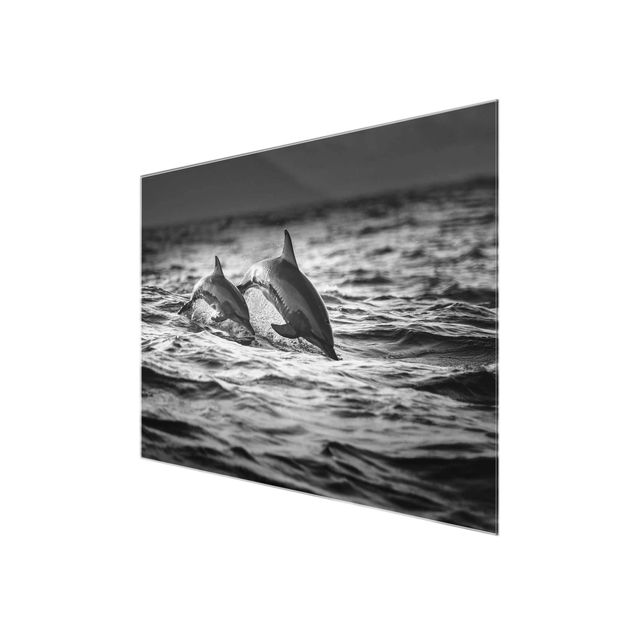 Cuadros a blanco y negro Two Jumping Dolphins