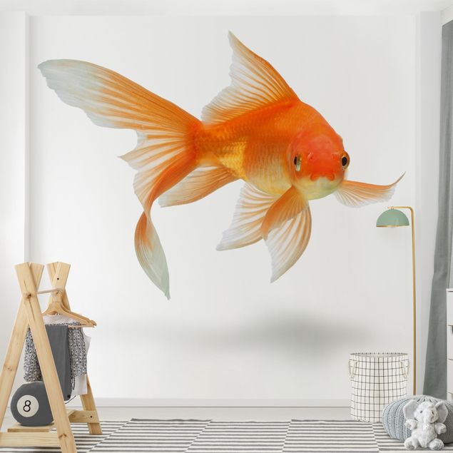 Papel pintado peces Goldfish Is Watching You