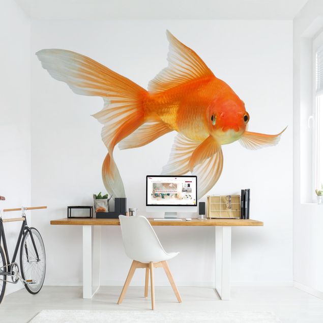 Decoración habitación infantil Goldfish Is Watching You