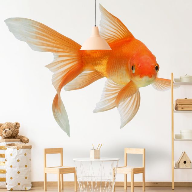 Papel pintado moderno Goldfish Is Watching You